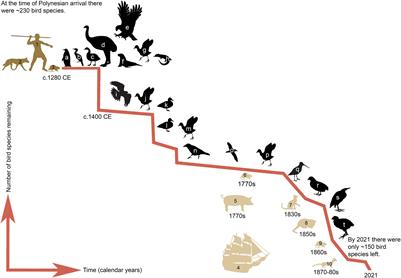 The Contribution of Kurī (Polynesian Dog) to the Ecological Impacts of the Human Settlement of Aotearoa New Zealand
